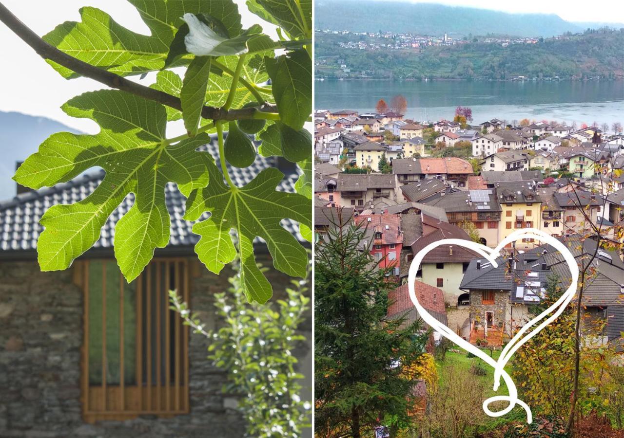 Agriturismo Farmhouse La Barberina กาลเชรานิกา อัล ลาโก ภายนอก รูปภาพ